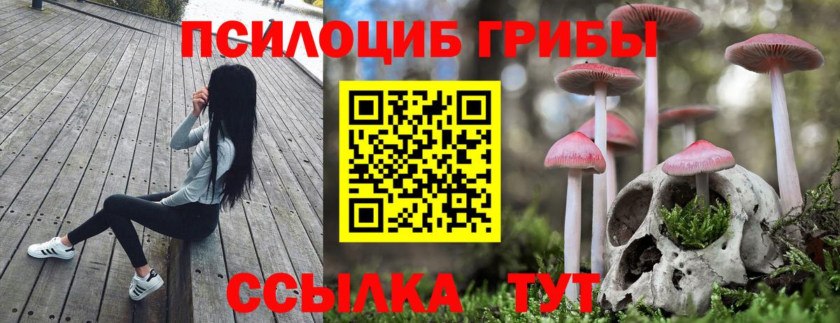 Карачаевск  Псилоцибиновые грибы Psilocybe  Вход с VPN  Галлюциногенные грибы ЛСД 
